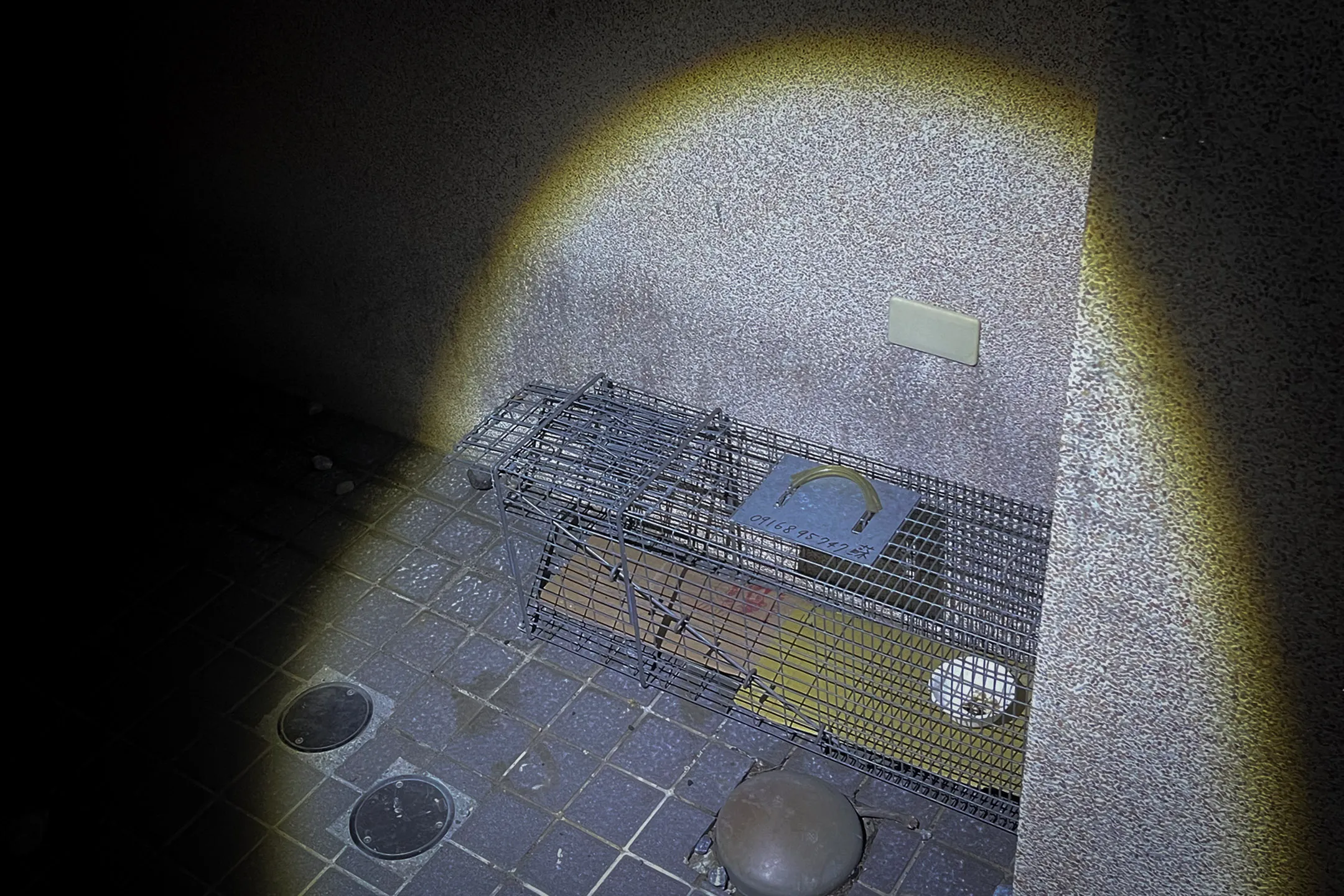 志工在天王星大樓附近放下的誘捕籠。圖：受訪者提供