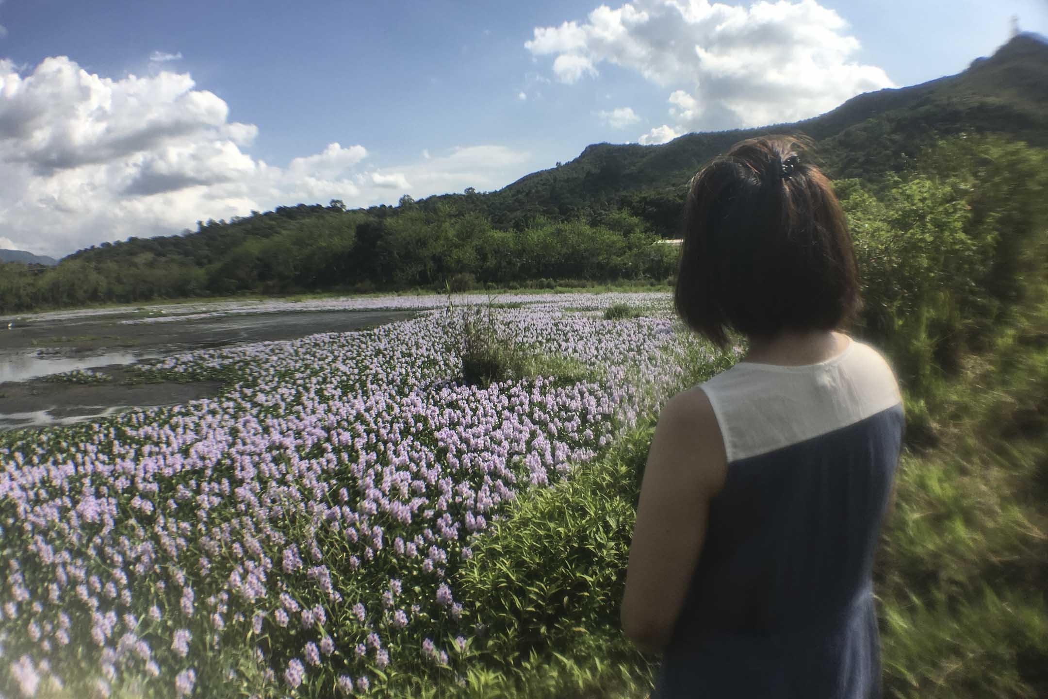 啊Be的香港記憶球：鄉郊和海洋。圖：受訪者提供
